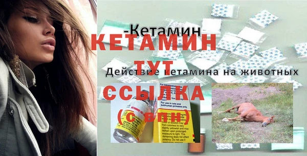 ПСИЛОЦИБИНОВЫЕ ГРИБЫ Корсаков