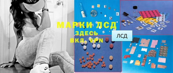 ПСИЛОЦИБИНОВЫЕ ГРИБЫ Корсаков